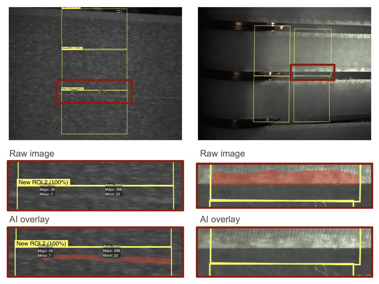 AI Detection Example 8