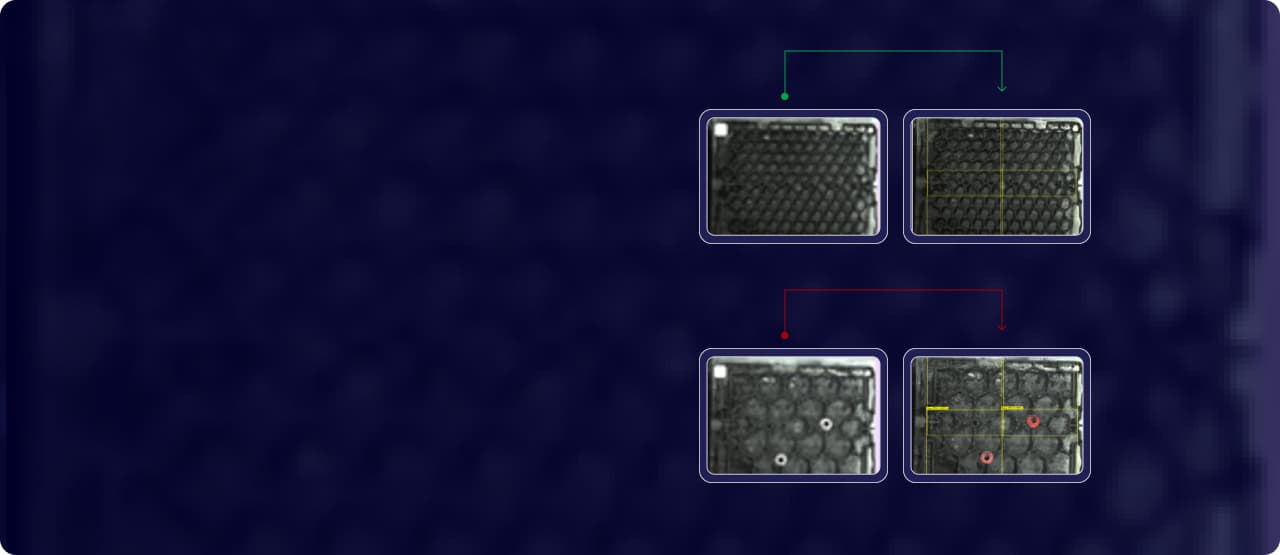 Example of defect inspection